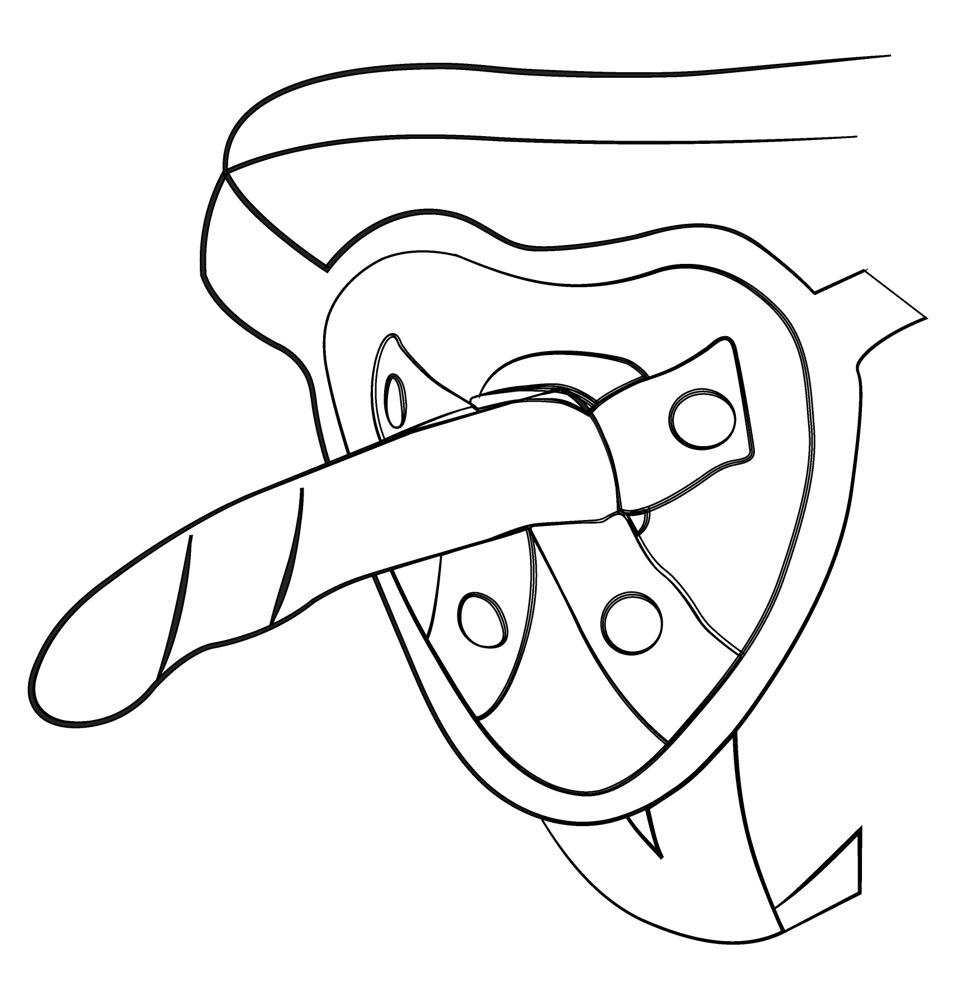 50043060000_nor_c